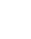 RCT Lena logo drop icon