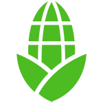 corn cob icon